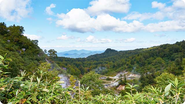 カチタス実家買取