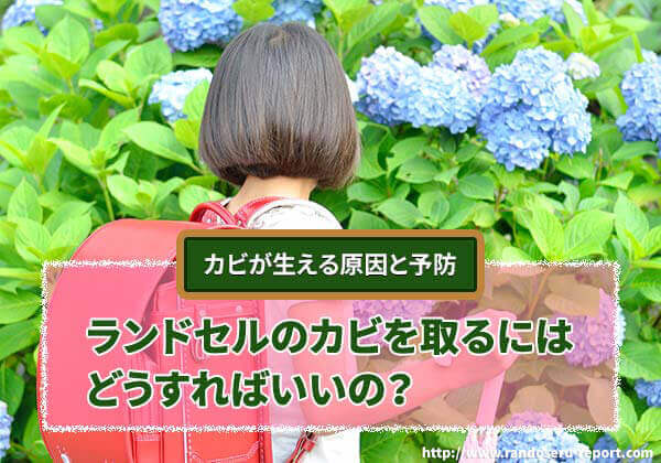 2026年版 ランドセルのカビを取るにはどうすればいいの？