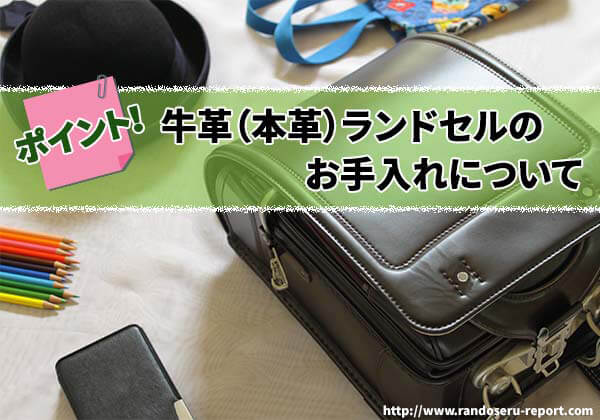 2026年版 牛革（本革）ランドセルのお手入れについて